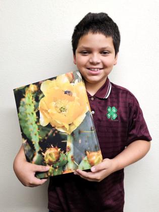 MICHAEL WILLIAMS, 1st place in Plant/Flora and received the people’s choice award.