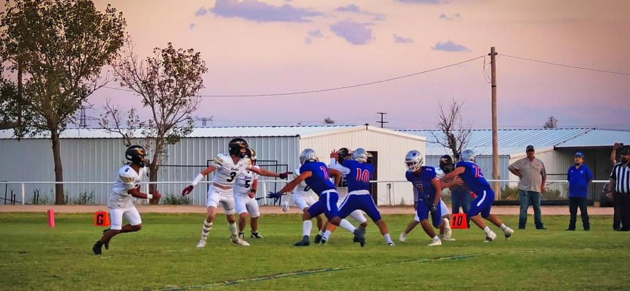 SPOTLIGHT ON VALLEY HOMECOMING