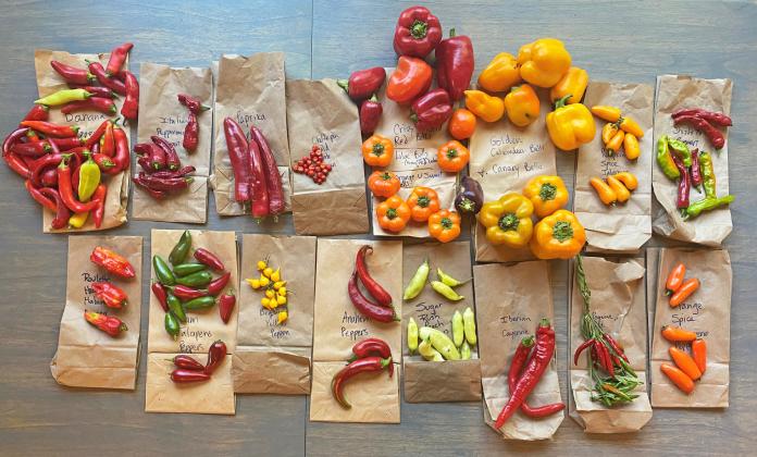 PEPPERS TO POPPERS, the versatile chile pepper comes in an amazing variety of sizes and flavors..| ANGELINA LARUE PHOTO