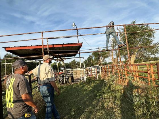 Roaring Springs arena being improved for Motley-Dickens Reunion and Rodeo