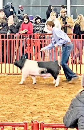 SPOTLIGHT ON VALLEY AT FORT WORTH STOCK SHOW