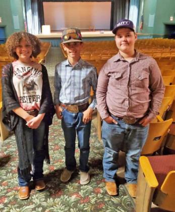 Motley Co. 4-H teams win honors at District 3 Contest