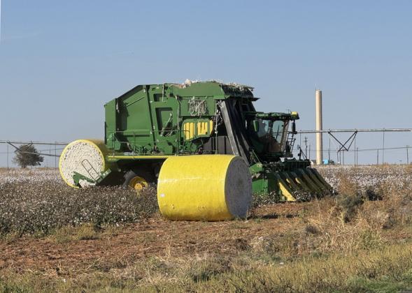 COTTON CROP across the Panhandle, South Plains and Rolling Plains is improved somewhat over past two years. Shown is harvest in progress last week at Rhineland, on the Rolling Plains in Knox County. | CAPROCK COURIER