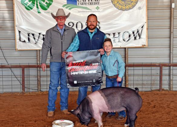 GRAND CHAMPION SWINE / HAMP LAKELI