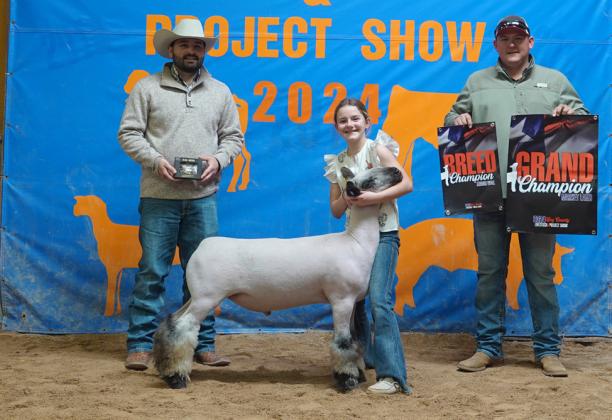 LAMBS GRAND CHAMPION PRESLEY PAUL