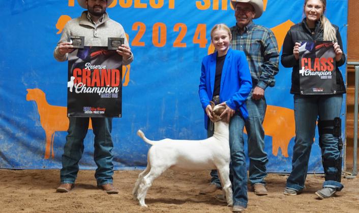 GOATS RESERVE GRAND CHAMPION LANEY JOUETT SENIOR SHOWMANSHIP, GOATS