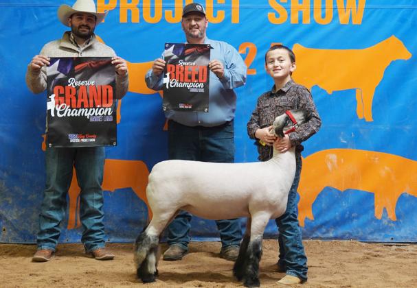 LAMB RESERVE GRAND CHAMPION BARETT OLIVER