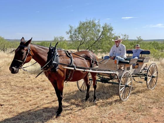 WAIT FOR THE WAGON Jimbo Humphreys of Dickens, Texas, recipient of the 2023 Ranching Heritage Association Working Cowboy Award, has mastered almost every facet of cowboy life. The award is given annually by the Ranching Heritage Association, a nationwide non-profit organization supporting the programs of the National Ranching Heritage Center. The award will be presented Nov. 3 in Lubbock. | THE TEXAS SPUR
