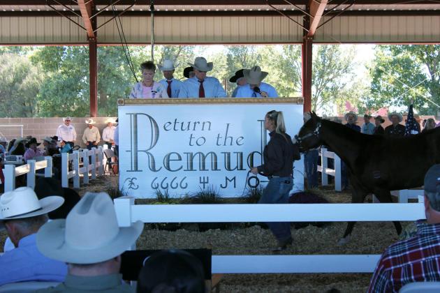 25th ANNUAL Marking its silver anniversary, this year’s Return to the Remuda sale promises to feature an exceptional selection of ranch horses from renowned breeders. Approximately 180 horses will be offered to the public from the legendary ranches of Beggs Cattle Company, Four Sixes Ranch, Tongue River Ranch, Pitchfork Land, and Cattle Company, King Ranch and Wagonhound Land &amp;amp; Livestock. The demonstration will be on September 27, and the sale will follow on September 28. | COURTESY PHOTO