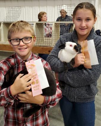 SPOTLIGHT ON BRISCOE LIVESTOCK SHOW