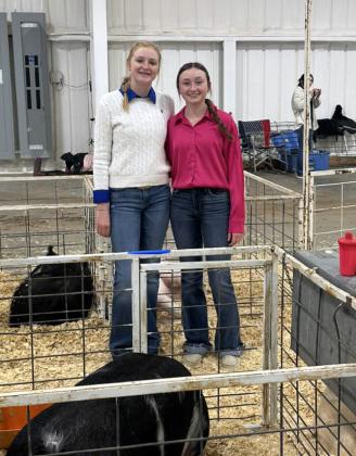 SPOTLIGHT ON BRISCOE LIVESTOCK SHOW