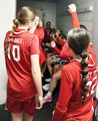 LADY OWLS