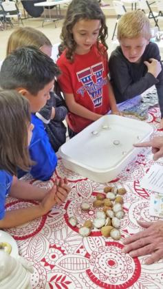 Caprock library takes youngsters on tour of ‘Christmas Around the World’