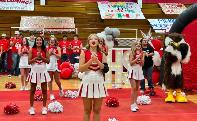 MEET THE OWLS
