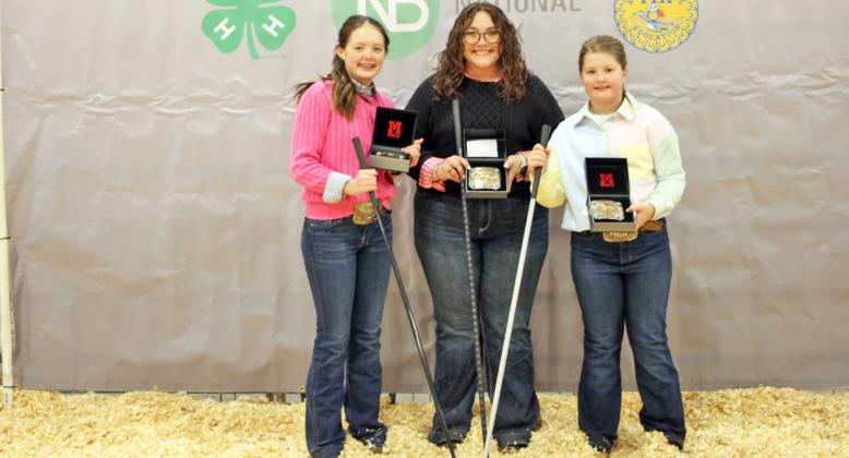 BEEF CATTLE SHOWMANSHIP SENIOR MAKENLEE LEMONS INTERMEDIATE KOLLINS BROCK JUNIOR KYNLIE BROCK