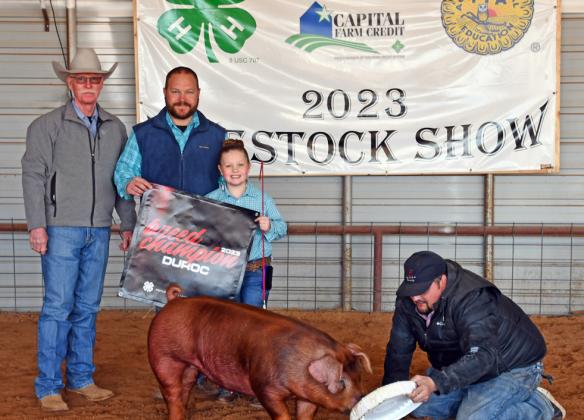 GRAND CHAMPION SWINE / DUROC LAKELI