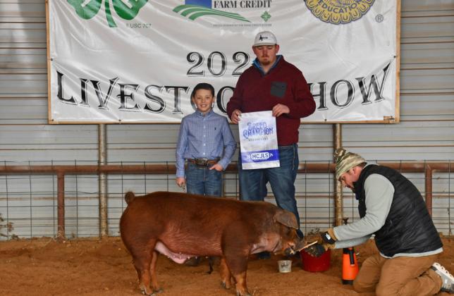 BREED CHAMPION, SWINE COOPER