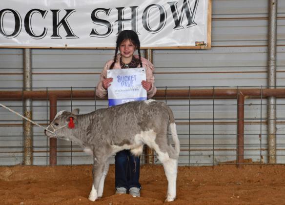 BUCKET CALF DALI BUCKET CALF KAYLI