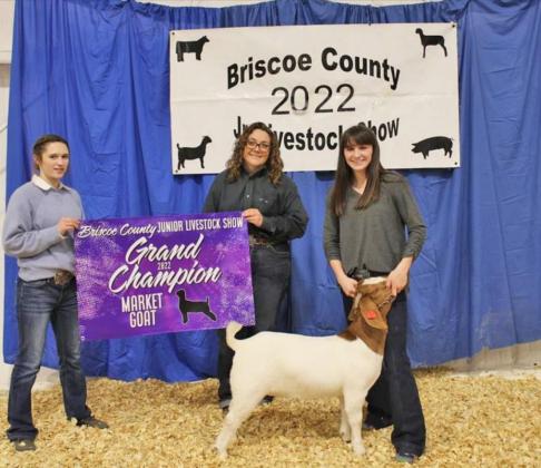 SPOTLIGHT ON AREA LIVESTOCK SHOWS