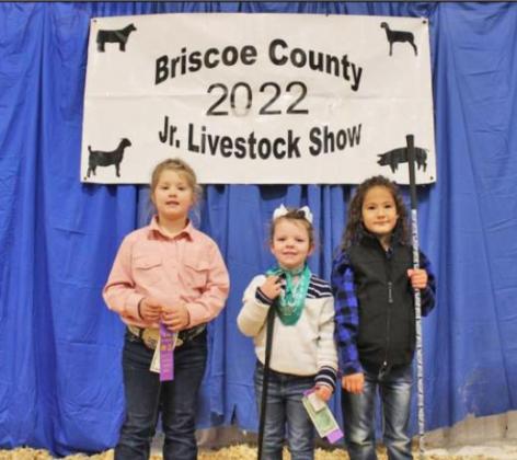 SPOTLIGHT ON AREA LIVESTOCK SHOWS