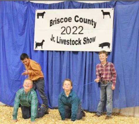 SPOTLIGHT ON AREA LIVESTOCK SHOWS