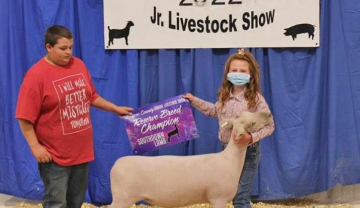 SPOTLIGHT ON AREA LIVESTOCK SHOWS
