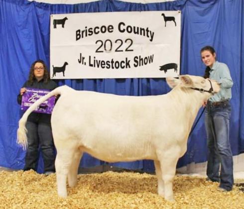 SPOTLIGHT ON AREA LIVESTOCK SHOWS