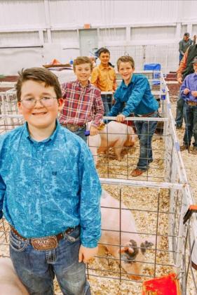 SPOTLIGHT ON AREA LIVESTOCK SHOWS