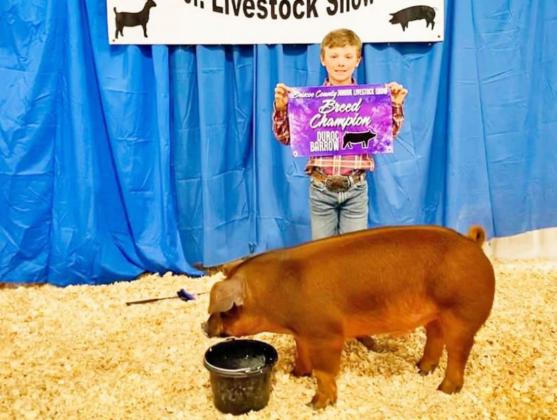SPOTLIGHT ON AREA LIVESTOCK SHOWS