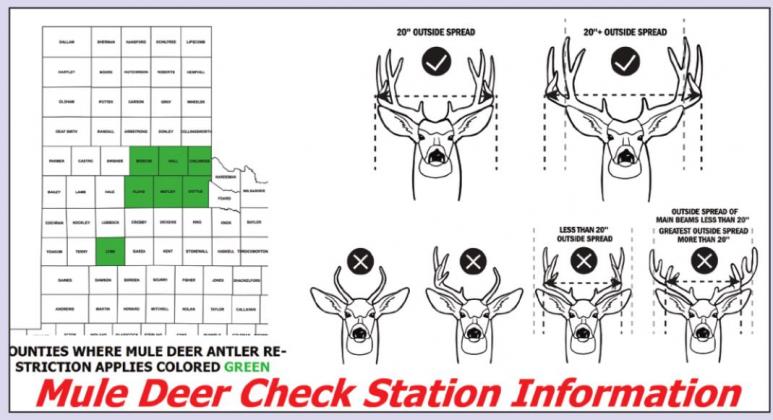 Hunters encouraged to bring their deer to check stations