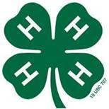 BRISCOE 4-H HONORS