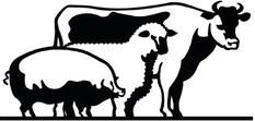 Briscoe, Cottle Livestock Shows slated for this weekend
