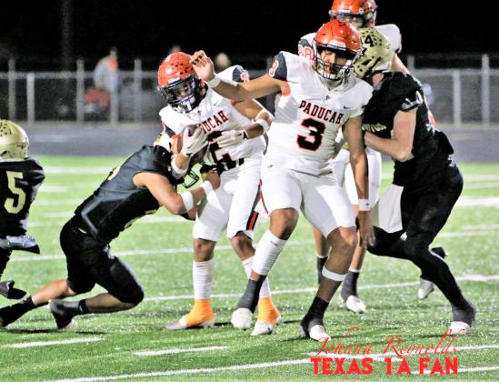 BIRDS BEAT DRAGONS The Paducah Dragons fell to a tough Jayton Jaybirds team 44-13 in the bi-district playoff game Thursday night in Benjamin. | TEXAS 1A FAN PHOTO