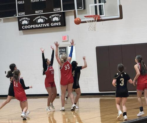 LADY PATRIOTS