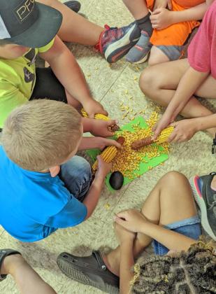 SPOTLIGHT ON 10-COUNTY 4-H CAMP