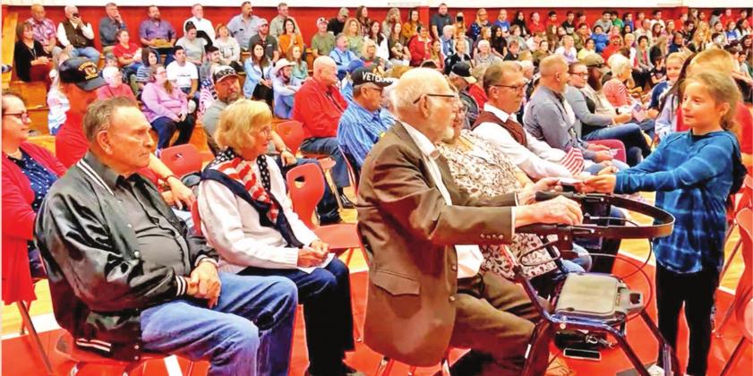 SPOTLIGHT ON VETERANS DAY CELEBRATIONS