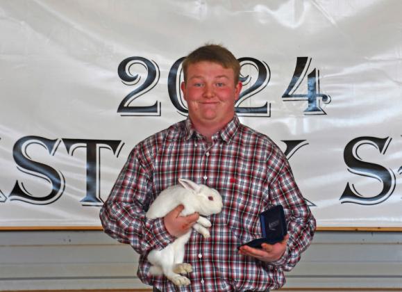 SENIOR SHOWMANSHIP, RABBIT AUSTON