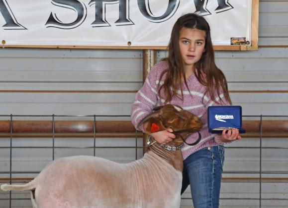 JUNIOR SHOWMANSHIP, GOAT MACI