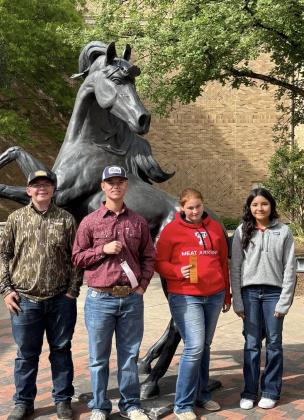 MOTLEY 4-H HONORS