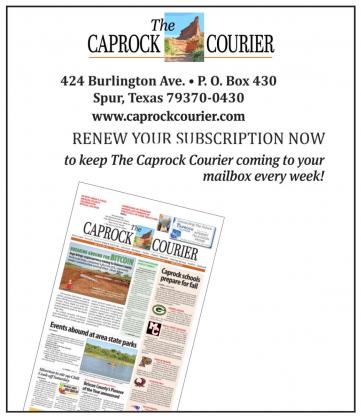 Newspaper subscribers: