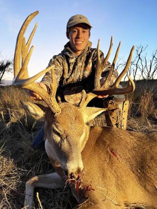 Moore, Wellington, Overall Whitetail
