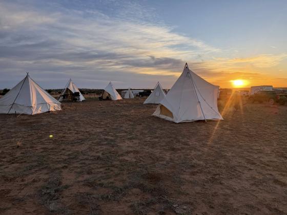 Ranchers head to roundup the old-fashioned way—by wagon
