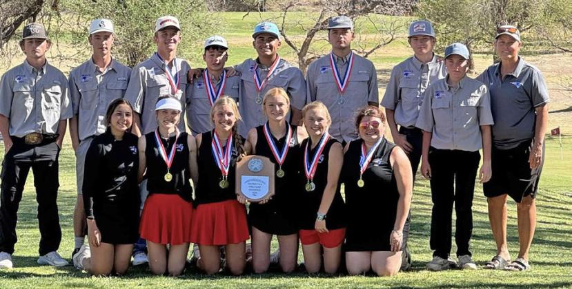 Valley golf teams advance to regionals