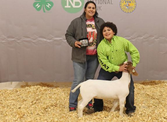 JUNIOR SHOWMANSHIP, GOAT JEREMIAH IVORY