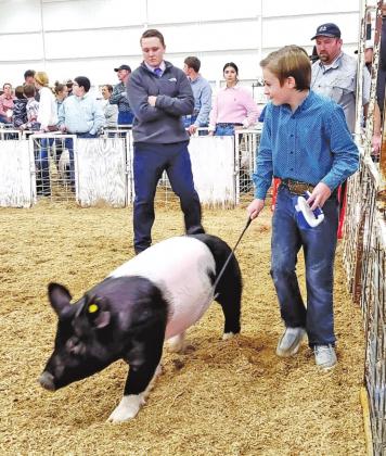STOCK SHOWS