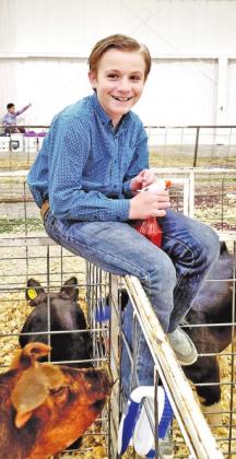 STOCK SHOWS