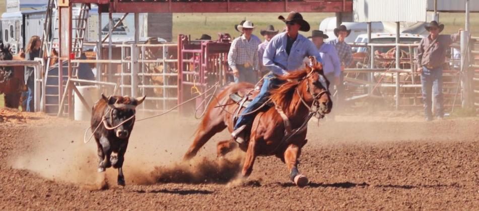 Hall County rancher stands 8th in the world in pro rodeo steer roping