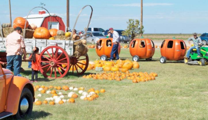PUNKIN’ DAY 2021 Planning is underway for the 34th Annual Floydada Punkin’ Day in Floydada. Held the second Saturday in October, this year’s event is scheduled for October 9 and takes place simultaneously at the courthouse square downtown, along with additional festivities at the Assiter Punkin Ranch on the Ralls Highway. | COURTESY PHOTO
