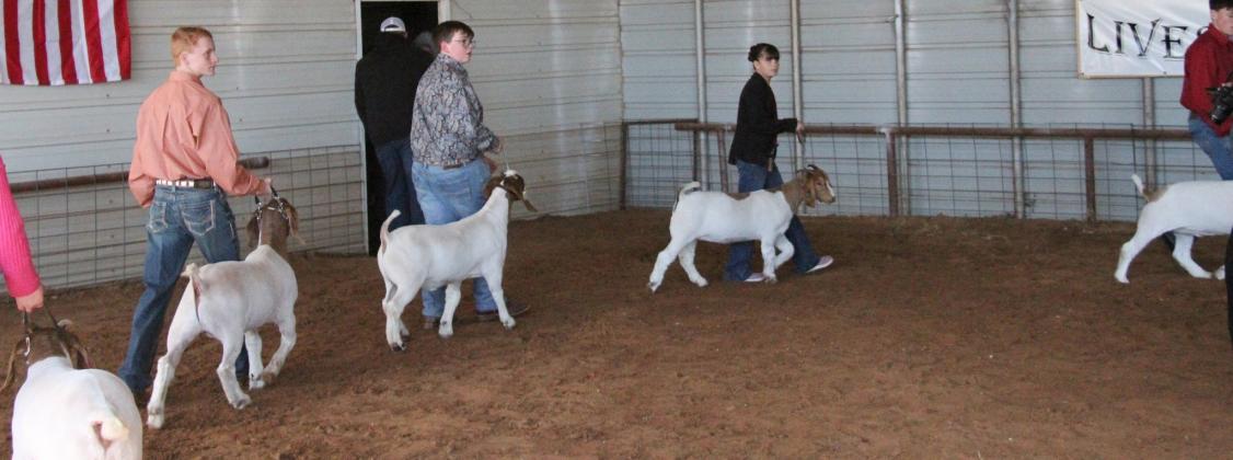 SPOTLIGHT ON MOTLEY COUNTY JUNIOR LIVESTOCK SHOW