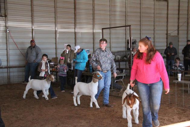 SPOTLIGHT ON MOTLEY COUNTY JUNIOR LIVESTOCK SHOW